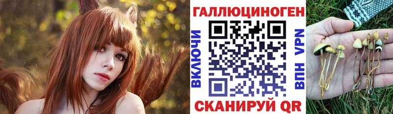 где купить наркоту  Учалы  Галлюциногенные грибы Cubensis 